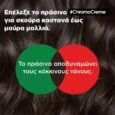 Σαμπουάν L’Oreal Professionnel Chroma Crème Green Dyes Για Σκούρα Καστανά έως Μαύρα Μαλλιά 300ml